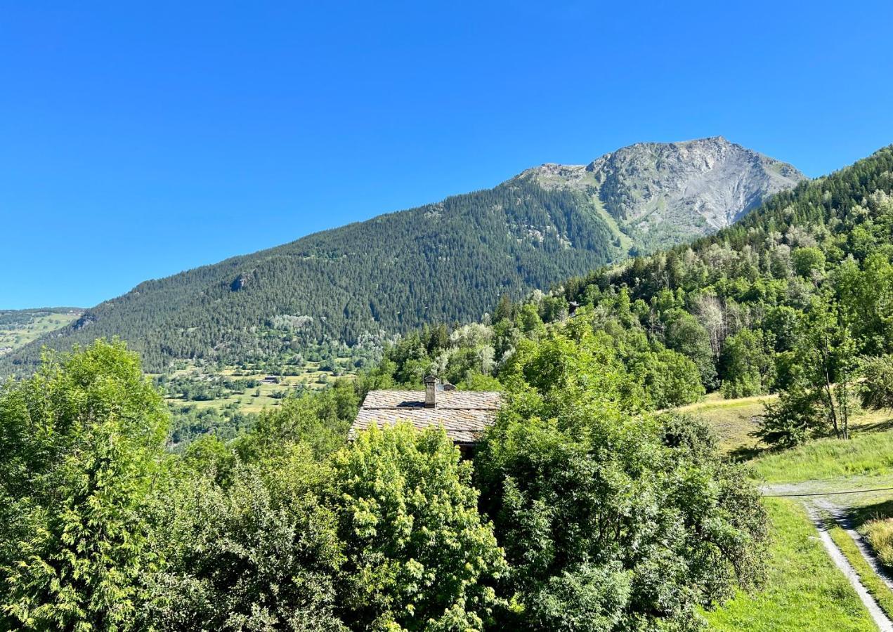 Chalet Altus Sainte-Foy-Tarentaise Buitenkant foto