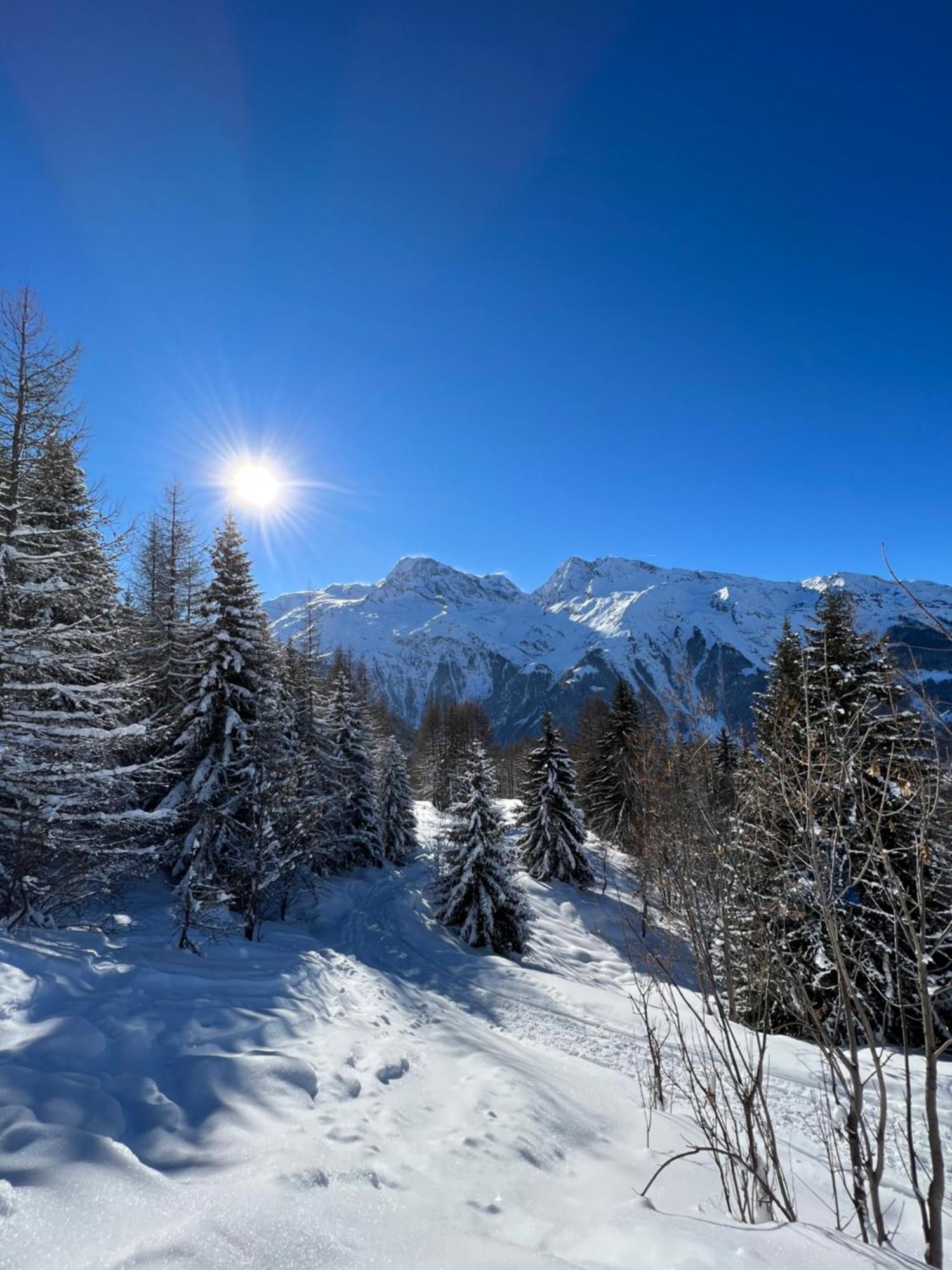 Chalet Altus Sainte-Foy-Tarentaise Buitenkant foto