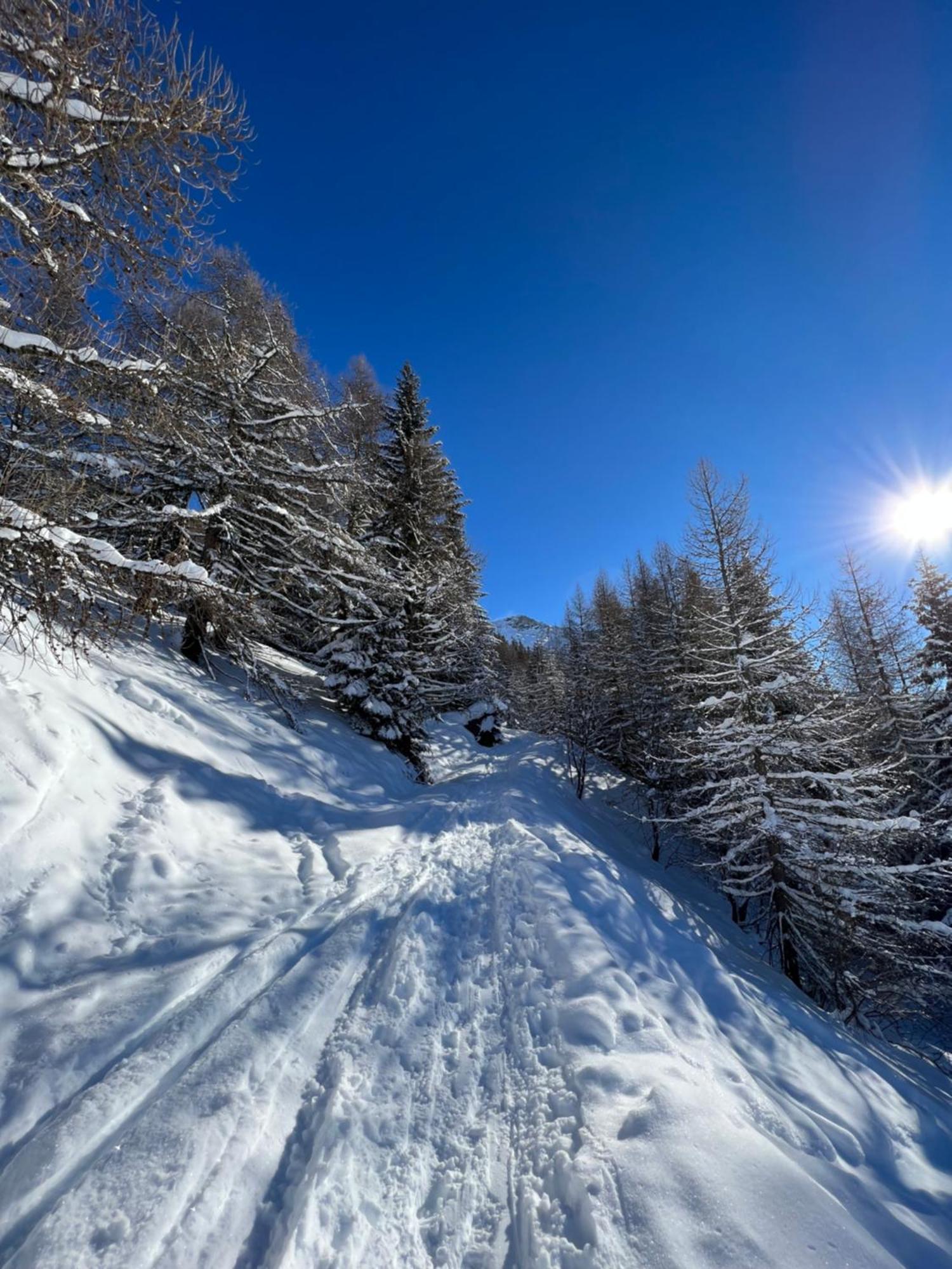 Chalet Altus Sainte-Foy-Tarentaise Buitenkant foto