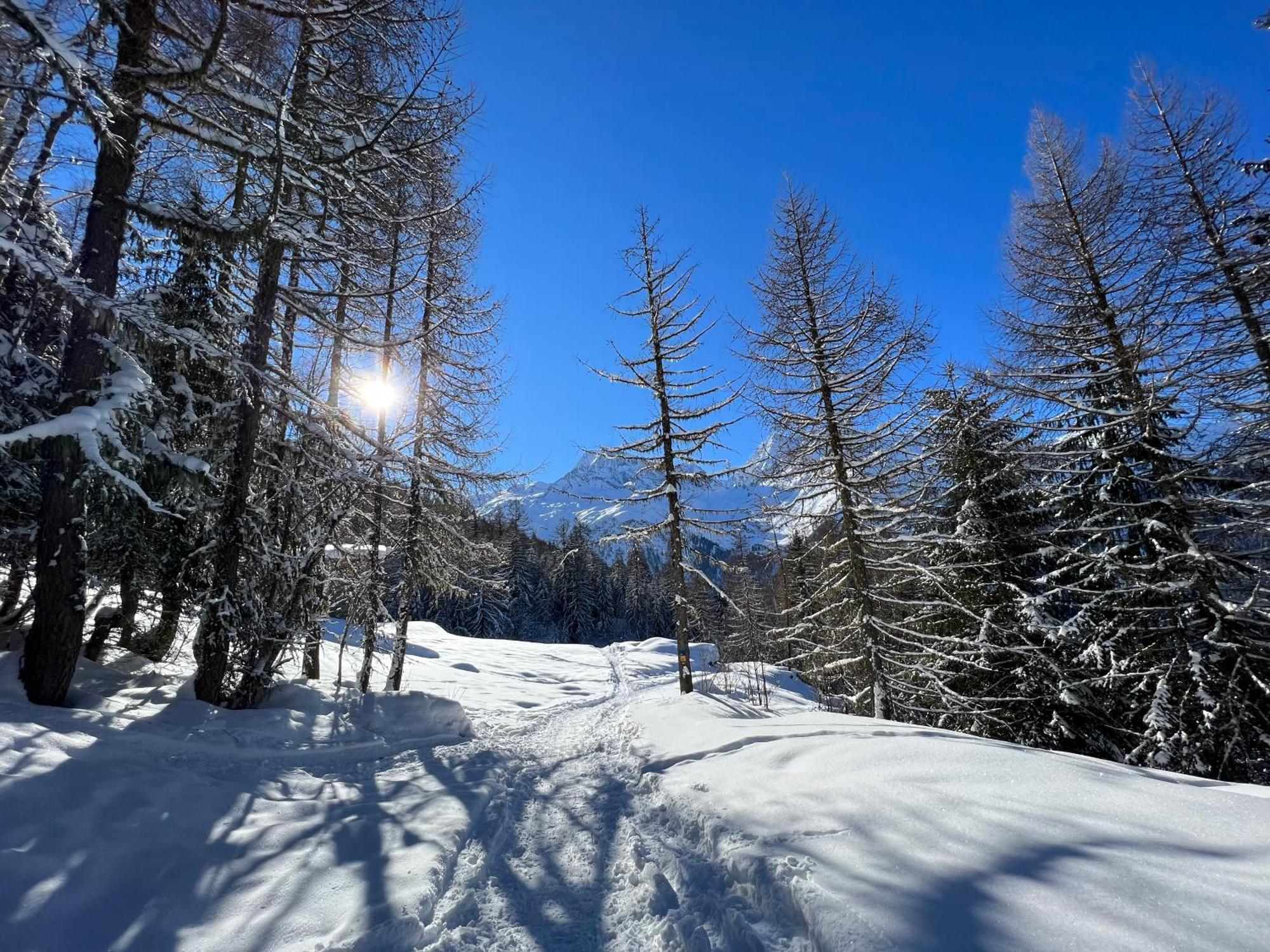 Chalet Altus Sainte-Foy-Tarentaise Buitenkant foto